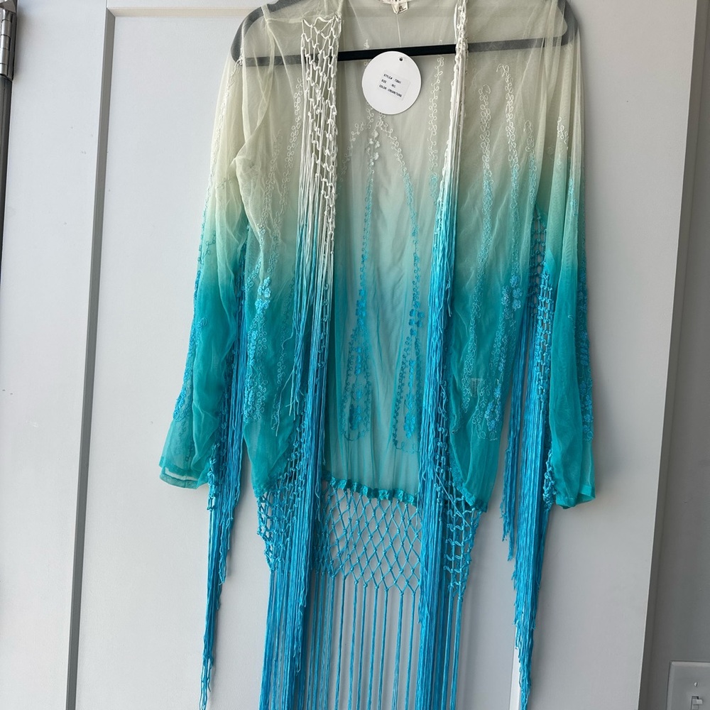 Bohome Collection Sheer Embroidered Fringe Kimono in Pale Mint